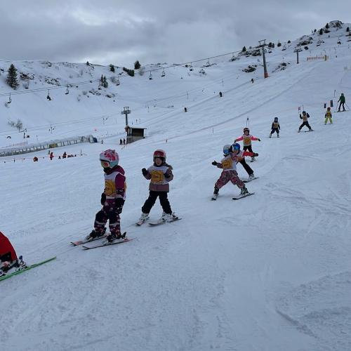 Bild Kinder beim Skifahren